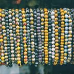 Photo Beaded necklace